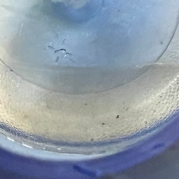 Damacana Suyunda Sağlık Tehlikesi Ve Denetimsizlik Şikayeti