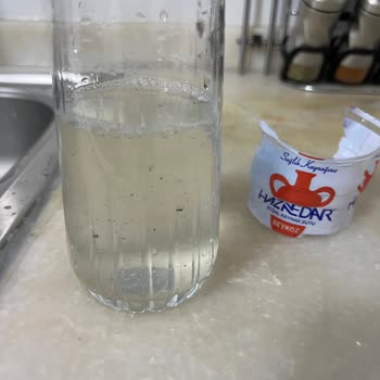 Damacana Suyunda Sağlık Tehlikesi Ve Denetimsizlik Şikayeti