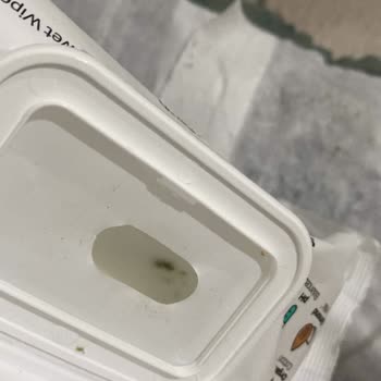 Islak Mendil Üzerinde Küf Oluşumu Ve Sağlık Riski