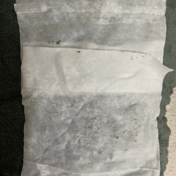 Islak Mendil Üzerinde Küf Oluşumu Ve Sağlık Riski