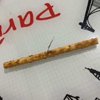 Eti Susamlı Çubuk Krakerde Yabancı Madde Tespiti Ve Gıda Güvenliği Endişesi