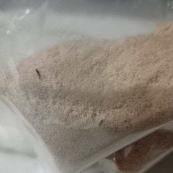 Bebek Mamasında Böcek Çıkması Ve Sağlık Endişesi