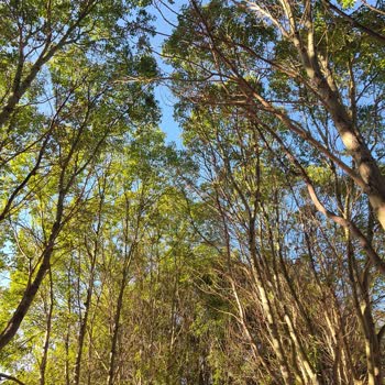 Şikayet Eden Müşteriyi Engelleyen Tur Şirketi