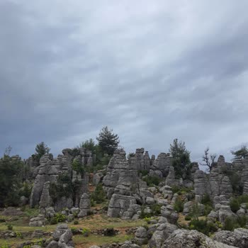 Şikayet Eden Müşteriyi Engelleyen Tur Şirketi