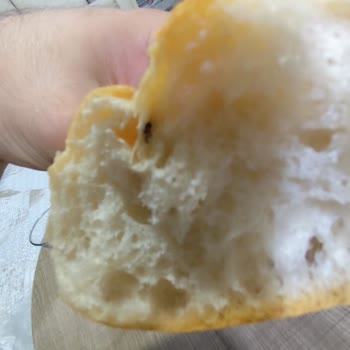 Halk Ekmekten Sinek Çıktı, Hijyen Sorunu Var!