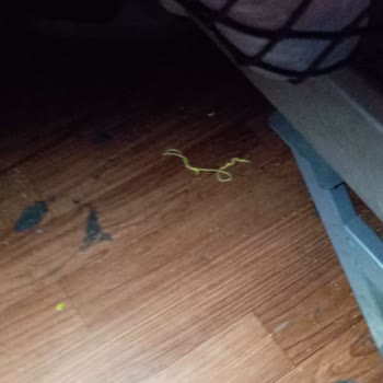 As Adana Seyahat Otobüs Yolculuğunda Güvenlik Ve Temizlik Sorunları