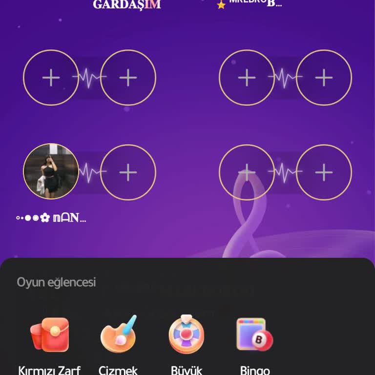 Hesabımda Dönme Dolap Görünmüyor Kazanç Fırsatını Kaçırıyorum