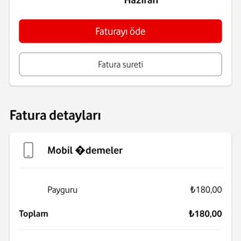 Faturama Habersiz Eklenen Payguru Ücreti Şaşkınlığı