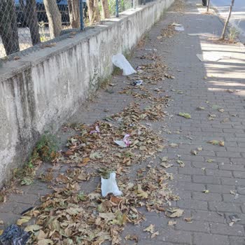 Uzun Süredir Temizlenmeyen Sokaklar Mağdur Ediyor