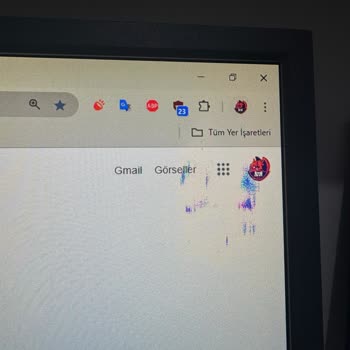 Benq Zowie Monitörümde Aniden Ekranda Beliren Sorun Şaşırttı