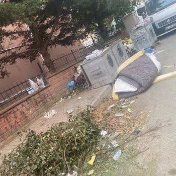 Kartal Belediyesi Temizlik Sorunu Ve İlgisizlik