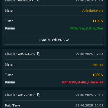Ödeme Sorunu Ve İlgisiz Müşteri Hizmeti Nedeniyle Mağduriyet