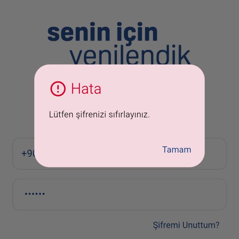 Hesaba Giriş Sorunu Ve Şifre Sıfırlama Problemi Çözülmüyor