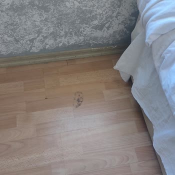 Jolly Home Temizlik Sorunları Ve İade Problemi Yaşadım