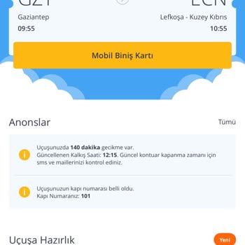 Sürekli Uçuş Gecikmeleri Ve Yetersiz İkram Nedeniyle Mağduriyet