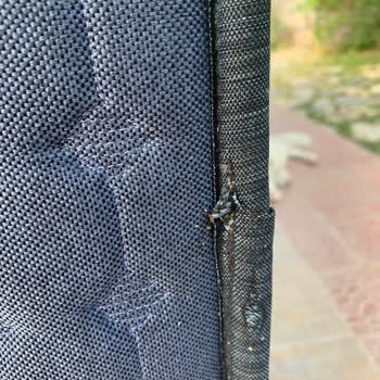 Alfemo Yataklarında Tahta Kurusu Sorunu Ve Kapanan Şube Mağduriyeti