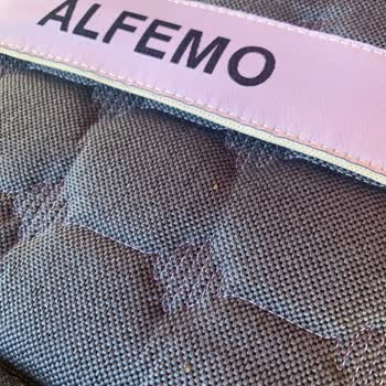 Alfemo Yataklarında Tahta Kurusu Sorunu Ve Kapanan Şube Mağduriyeti