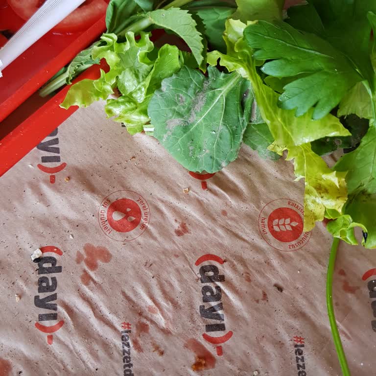 Kirli Yeşillik Ve Soğuk Olmayan İçecek Şoku!