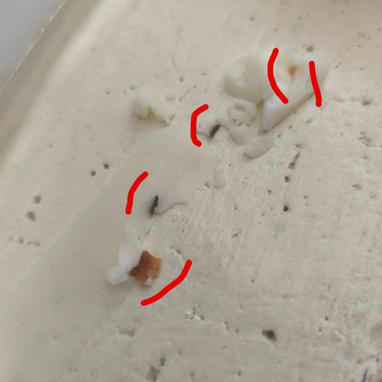 Tost Peyniri Ürününde Hijyen ve Sağlık Endişesi