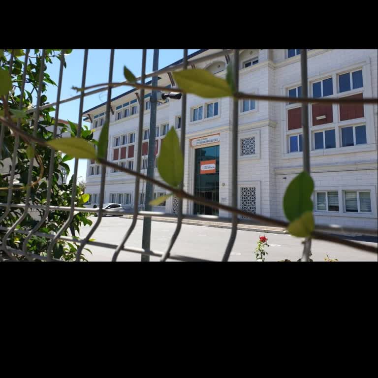 Zeytinburnu Güzel Sanatlar Lisesi Kayıt Sorunu