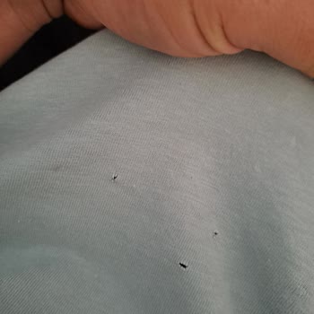 Profilo Çamaşır Ve Kurutma Makinesi Kıyafetlerimi Mahvetti