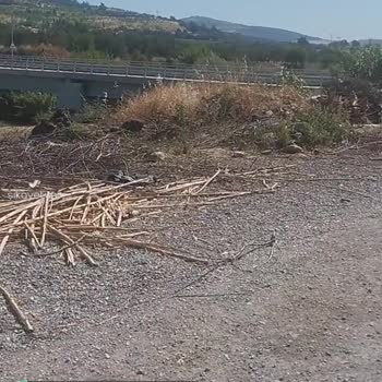 Menemen Belediyesi Çöplükte Yaşıyoruz, Lütfen Sesimizi Duyun!