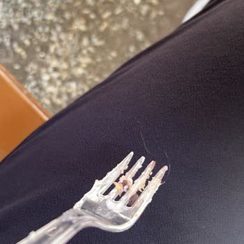 Alya Pastane Cafe Pastanın İçinden Çıkan Yabancı Madde