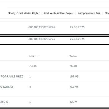 Kampanya Kategorisi Yanıltıcı: Money Puanım Yüklenmedi Ve Müşteri Suçlandı