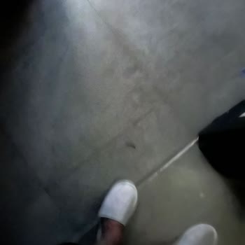 Pis Oda Böcekler Ve Sürekli Elektrik Kesintisiyle Hayal Kırıklığı