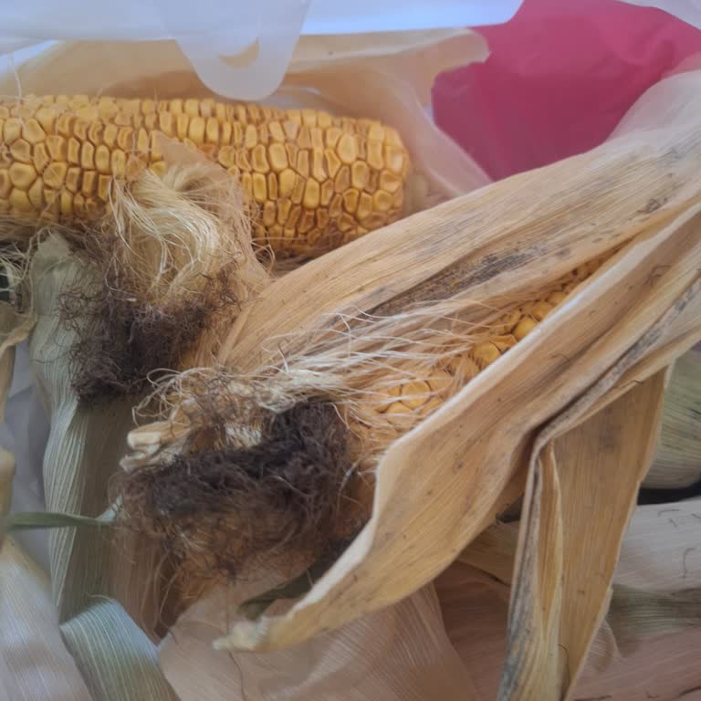 Siparişimde Gönderilen Çürük Ve Kurumuş Mısırlar Hayal Kırıklığı Yarattı