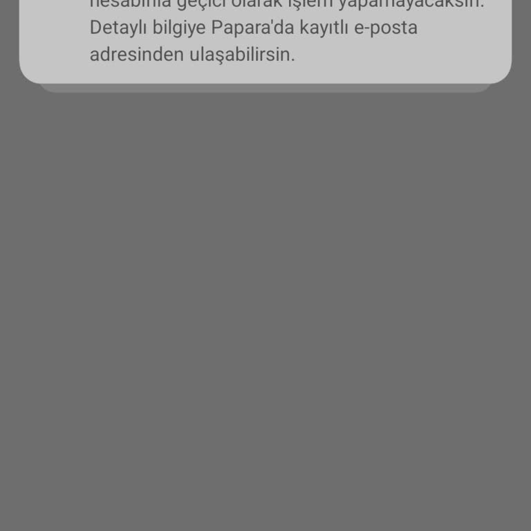 Papara Bir Aydır Süren İnceleme Mağduriyeti Ne Zaman Bitecek