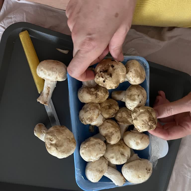 Migros Seferihisar'da Çürük Mantar Satışı Şikayeti