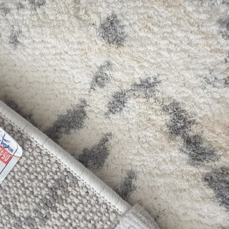 Rota Halı Koltuk Yıkama | Ankara-OSTİM Yetersiz Hizmet Veriyor!