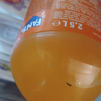 Fanta İçecekte Siyah Cisimle Karşılaşmak Endişe Verici