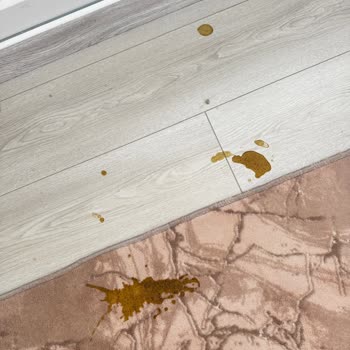 Aldığım Mama Kedimin Sağlığını Bozdu