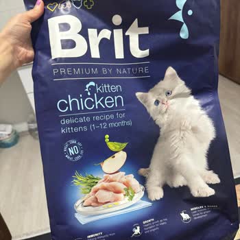 Aldığım Mama Kedimin Sağlığını Bozdu