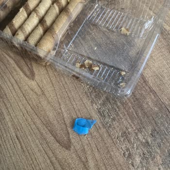 Aldığım Üründen Plastik Eldiven Parçası Çıktı, Hayal Kırıklığı Yaşadım