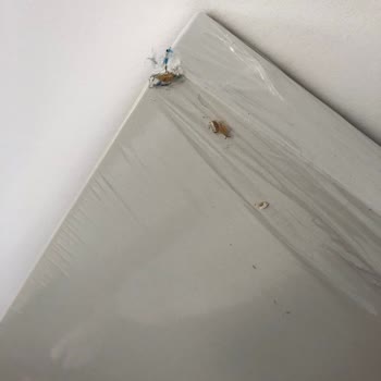 Kırık Ürünler Ve Cevapsız Destek Talepleriyle Mağduriyet