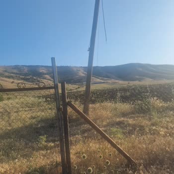 Tehlike Oluşturan Telefon Direklerinin Acilen Kaldırılmasını İstiyorum
