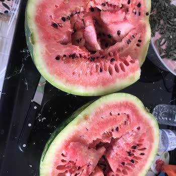 Asfora Gross'tan Aldığımız Karpuzlar Sürekli Bozuk Çıkıyor!