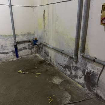 Deprem Bölgesinde Güvensiz Ve Sorunlu Konutlar: Asce Mağduriyeti