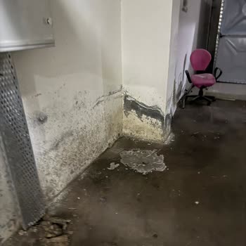 Deprem Bölgesinde Güvensiz Ve Sorunlu Konutlar: Asce Mağduriyeti