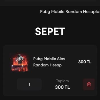 Oyun Dinar Aldığım Ürün Boş Hesap Çıktı, Destek Yetersiz Kaldı