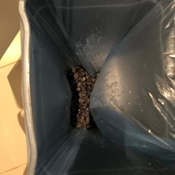 Aldığım Siyah Zeytin Bozuk Çıktı Sağlığımız Tehlikede