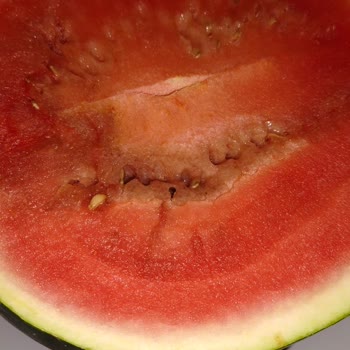 BİM'den Aldığım Ürünler Sıkça Bozuk Çıkıyor, Mağduriyet Yaşıyorum