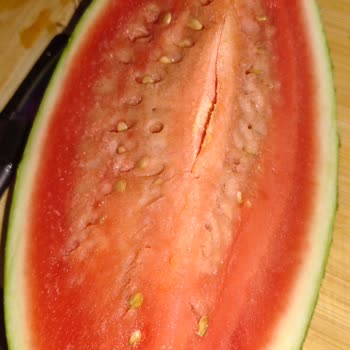 BİM'den Aldığım Ürünler Sıkça Bozuk Çıkıyor, Mağduriyet Yaşıyorum