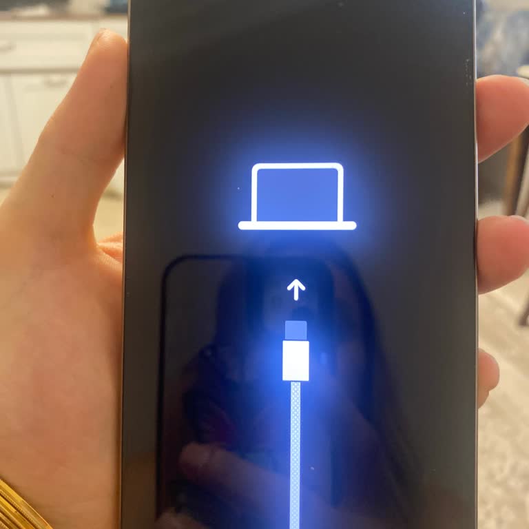 Bir Ayda Ana Kart Arızası: İphone 16 Pro Max'te Büyük Hayal Kırıklığı