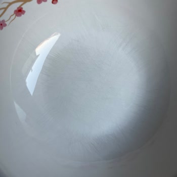 Karaca Porselen Yemek Takımı Kolayca Çizildi, Müşteri Hizmetleri İlgisiz Kaldı