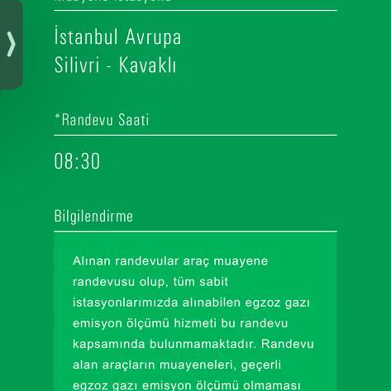 Araç Muayene Raporu E-Devlette Görünmüyor, Bilgiye Ulaşılamıyor