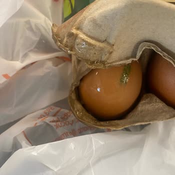 Migros Sanal Marketten Gelen Hasarlı Ürünler Ve Müşteri Hizmetlerine Ulaşılamaması